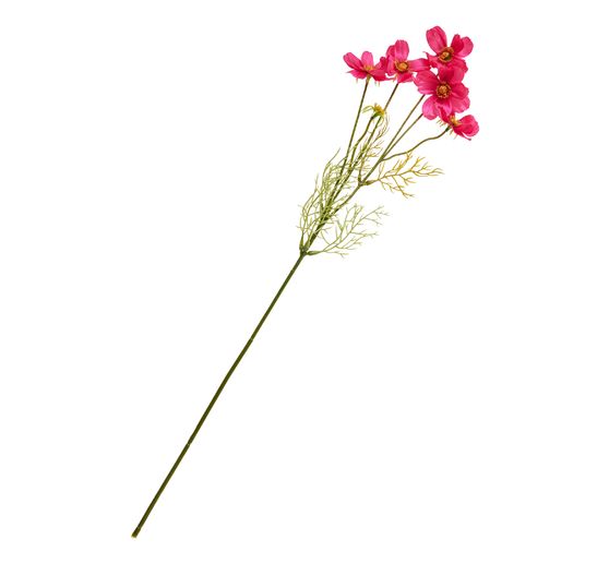 Cosmea tak met 5 bloemen