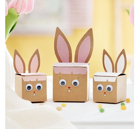 VBS Kraftpapier Doos