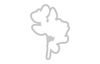 Sizzix Framelits Ponssjabloon en Clear Stamps "Floral Mix Cluster"