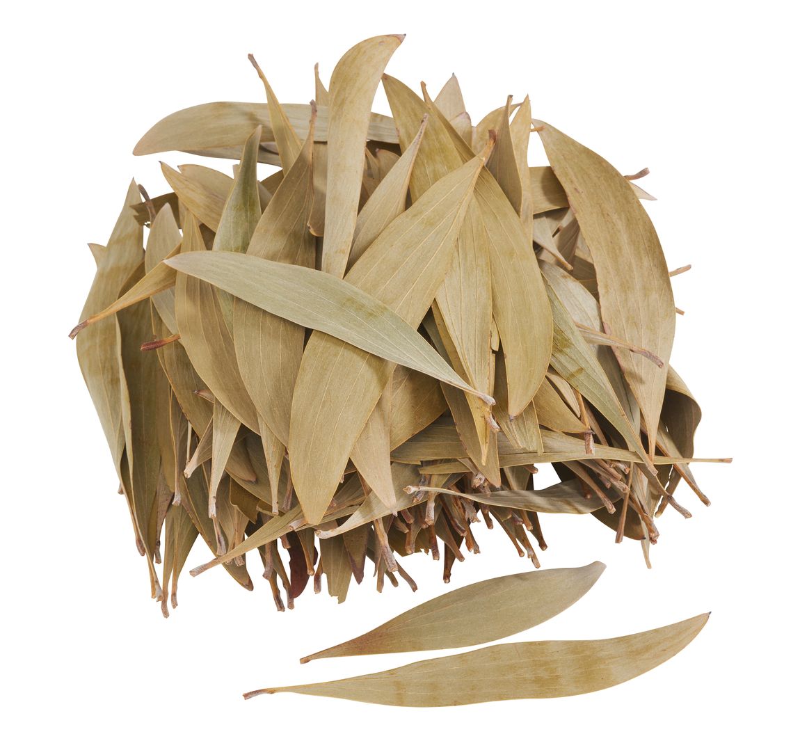 Eucalyptusbladeren, 100 g