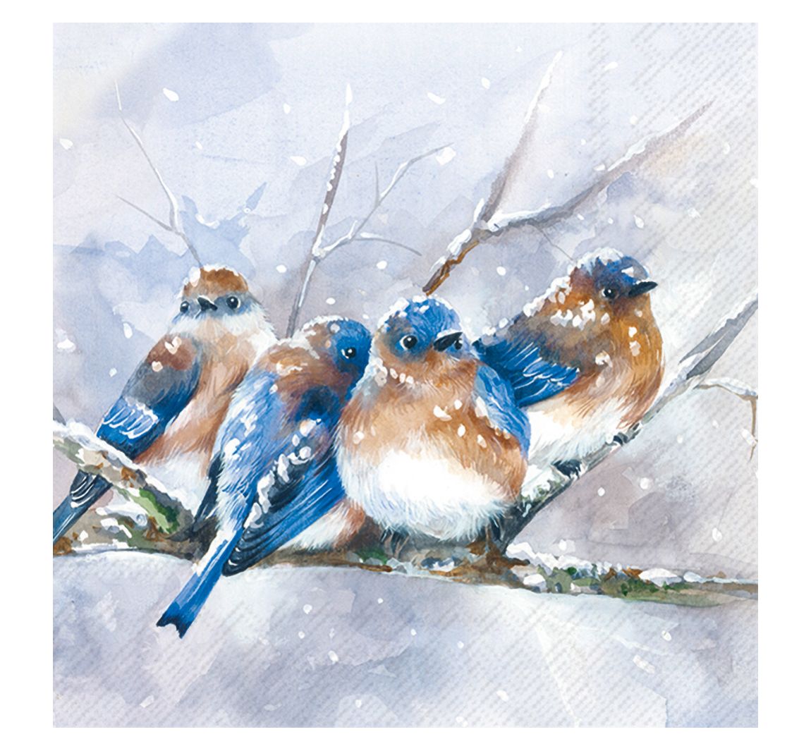 Servet "Cuddly Birdies"