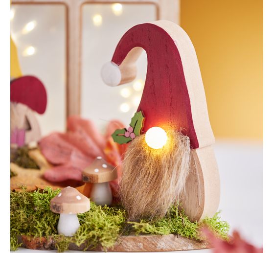 VBS Toadstools
