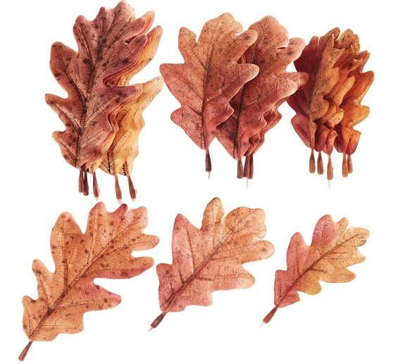 Foliage leaves