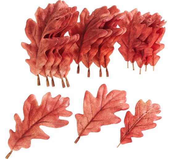 Foliage leaves