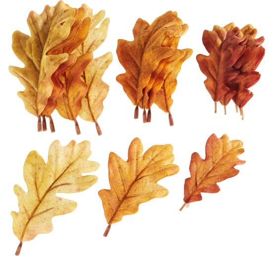 Foliage leaves