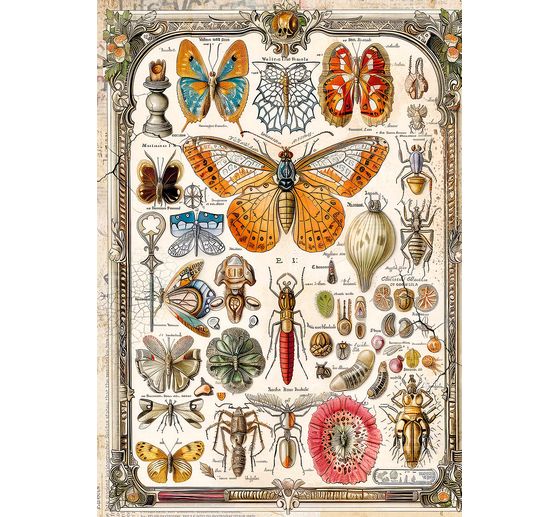 Motief strozijde assortiment "Schoonheden van de natuur"