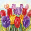 Servet "Colourful Tulips"
