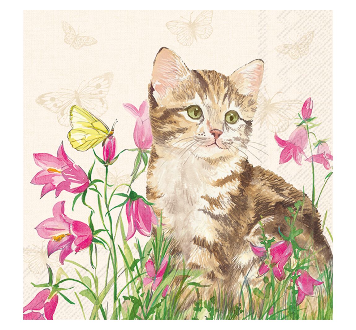 Servet "Minka de kat"