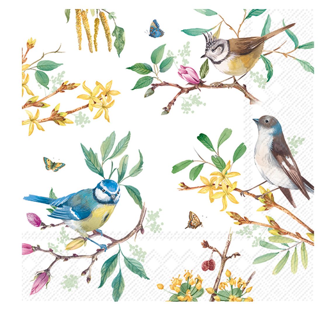 Servet "Spring Story"