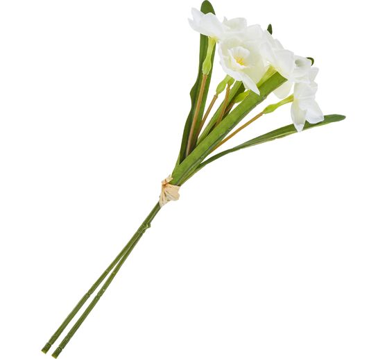 Bosje narcissen