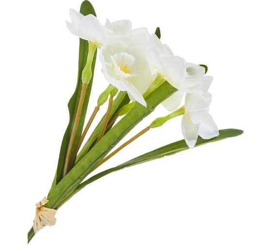 Bosje narcissen