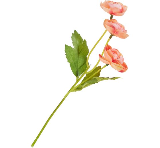 Ranonkel pluk met 3 bloemen