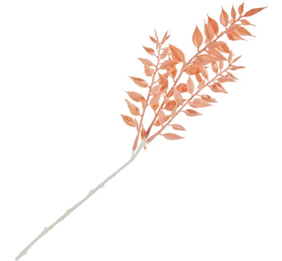 Ruscus plukken
