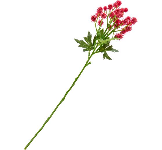 Thistel branch