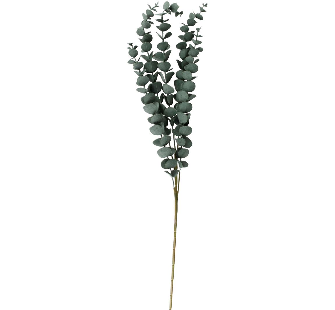 Eucalyptustak "Evergreen"