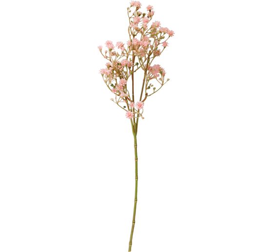Witlooftak "Evergreen"