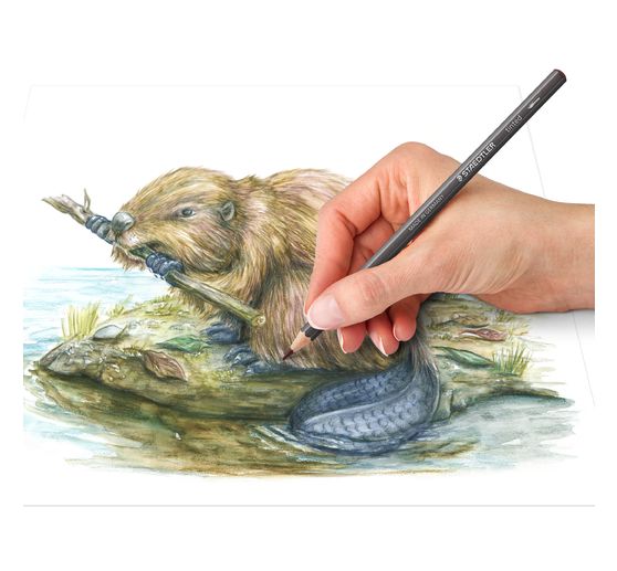 Staedtler Aquarelpotloden tinted, set van 12