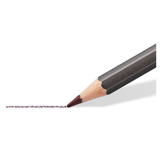 Staedtler Aquarelpotloden tinted, set van 12