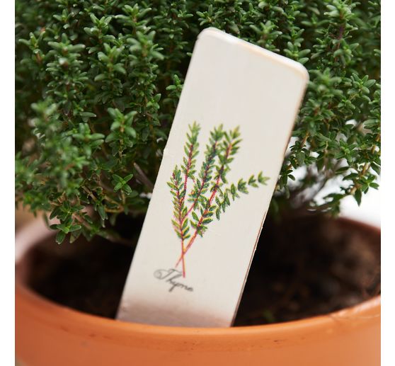 Napkin "Herb selection"