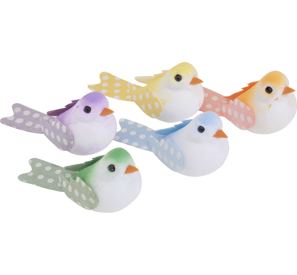 VBS Vogels "Klara"
