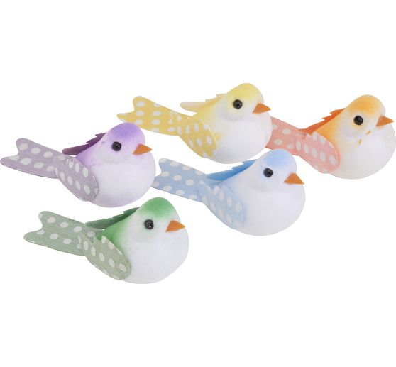VBS Vogels "Klara"