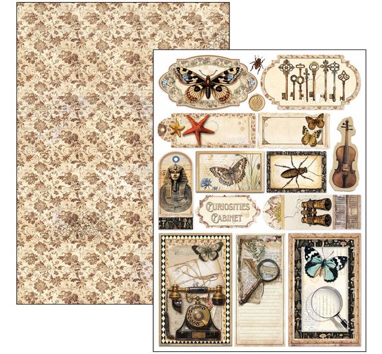 Paper set "Cabinet of Curiosities"