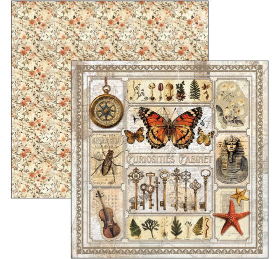 Scrapbook papier "Cabinet of Curiosities"
