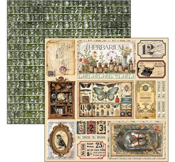 Scrapbook papier "Cabinet of Curiosities"