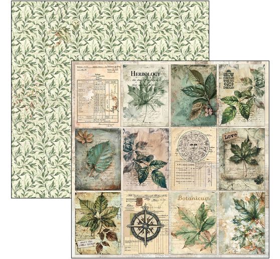 Scrapbook papier "Cabinet of Curiosities"