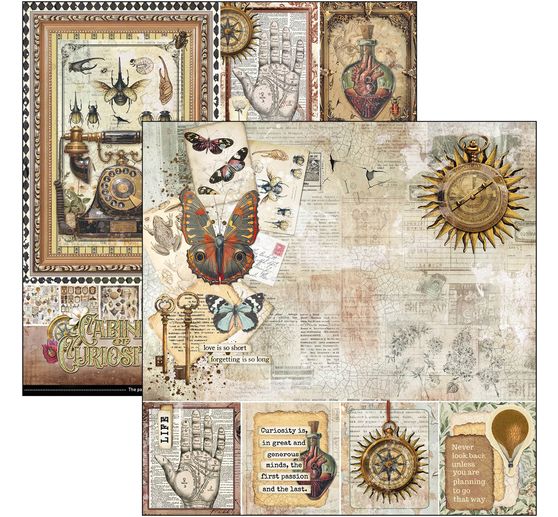 Scrapbook papier "Cabinet of Curiosities"