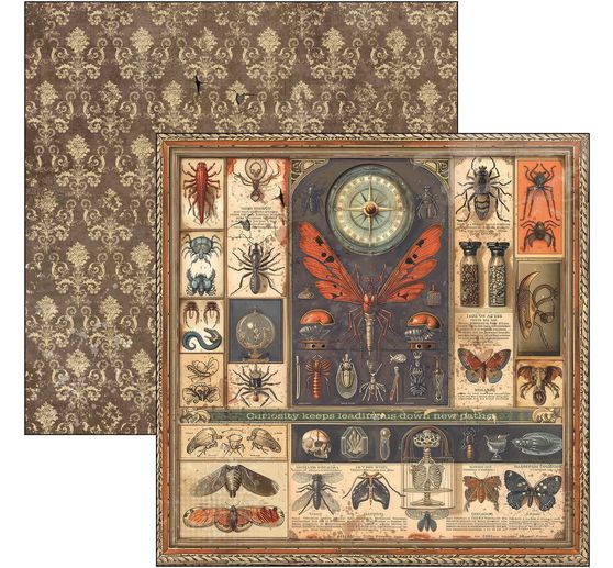 Scrapbook papier "Cabinet of Curiosities"