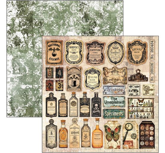 Scrapbook papier "Cabinet of Curiosities"