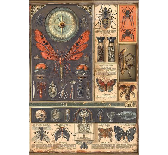 Motif straw silk assortment "Carbinet of Curiosities", set of 8