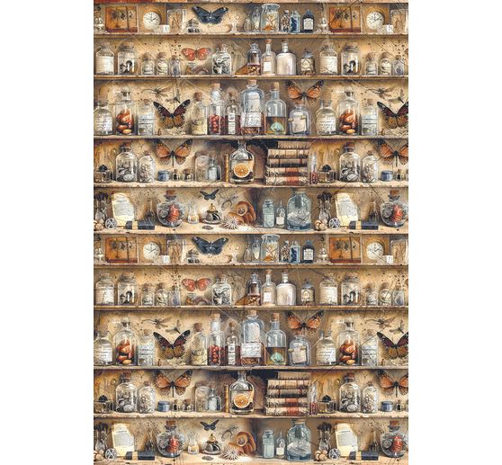Motief strozijde assortiment "Cabinet of Curiosities", set van 4