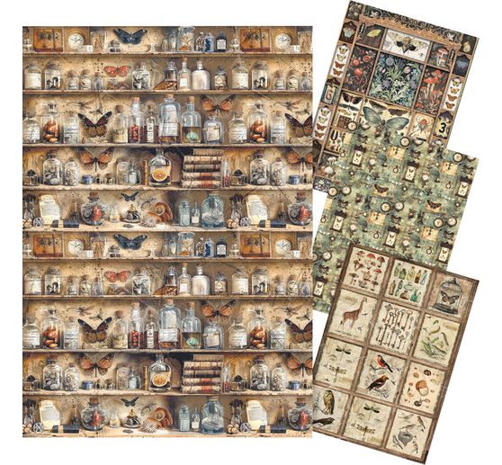 Motief strozijde assortiment "Cabinet of Curiosities", set van 4