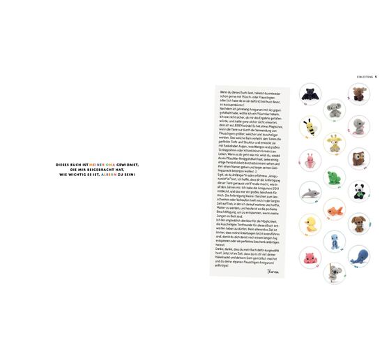 Boek "Flauschige Amigurumi-Häkelschule"