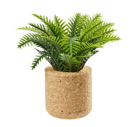 Miniatuurset "Kamerplanten"