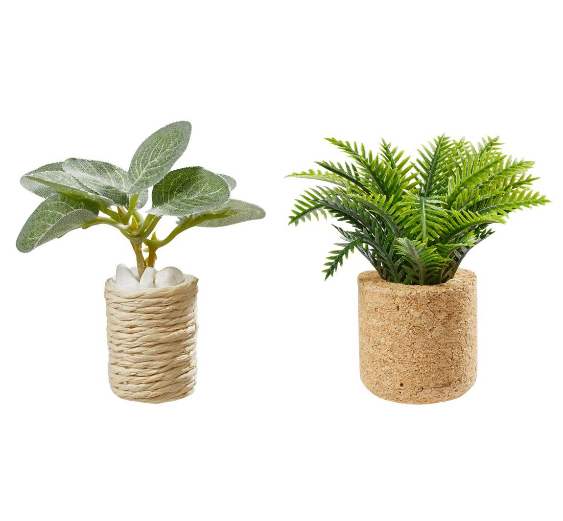 Miniatuurset "Kamerplanten"
