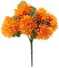 Chrysantentros "Lola"