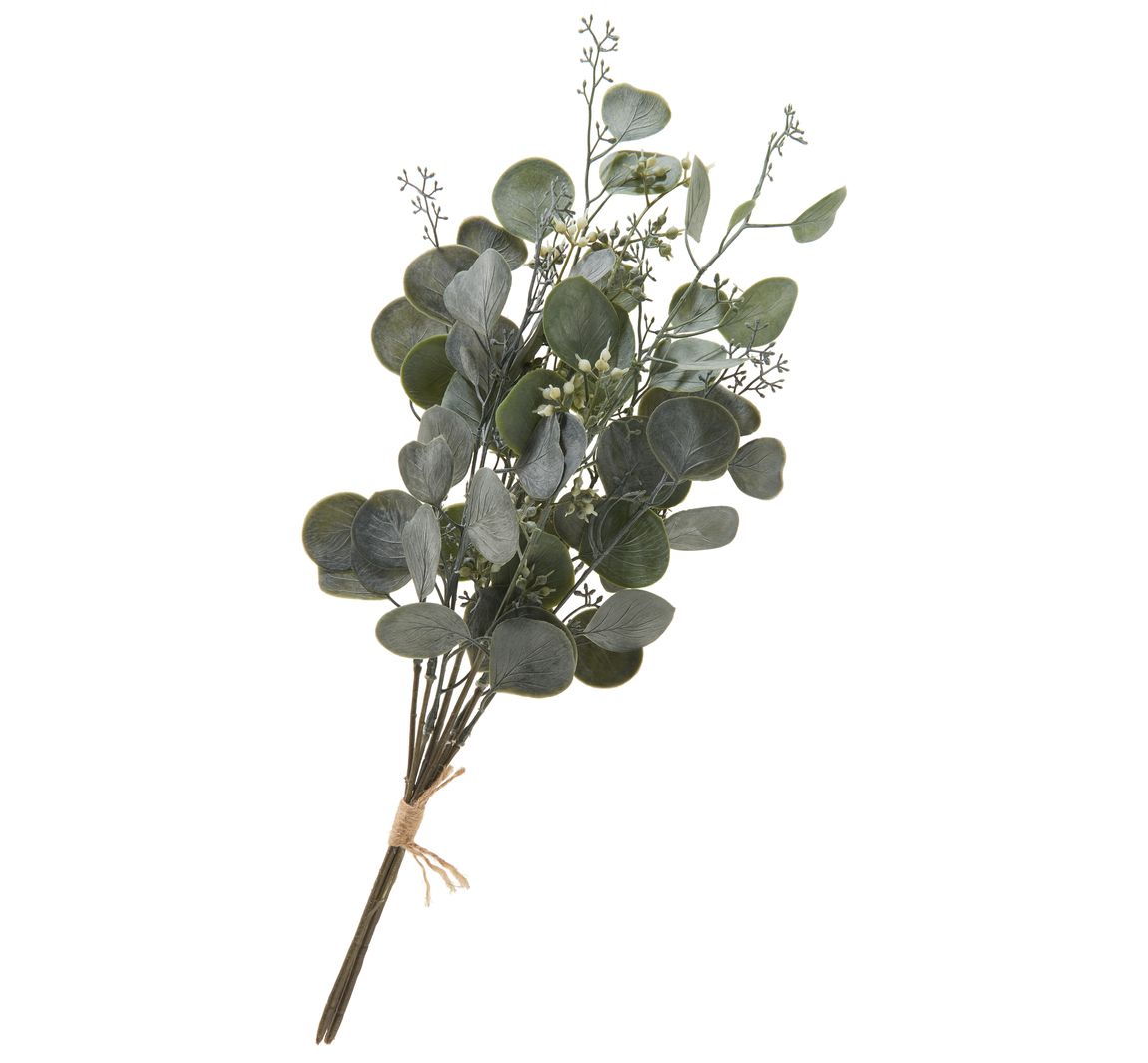 Eucalyptus bos "Ella"