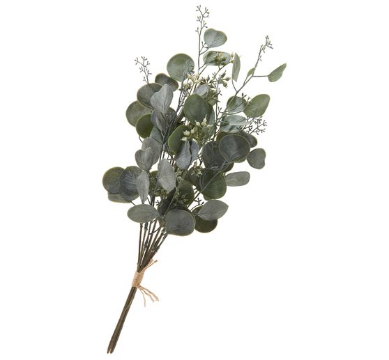Eucalyptus bos "Ella"