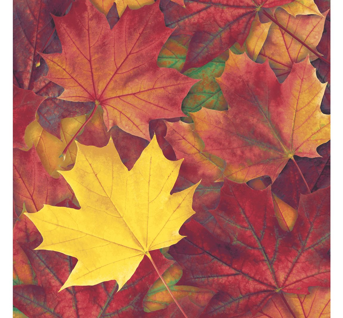 Servet "Harvest Harmony"