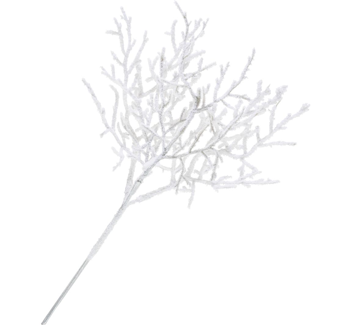 Takkenpluk "Winter"