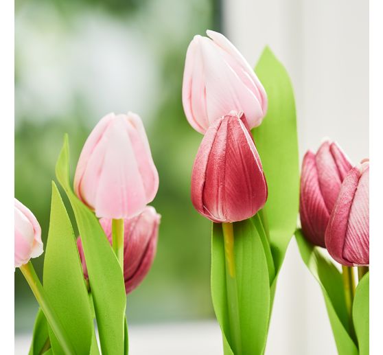 VBS Tulip "Tammie