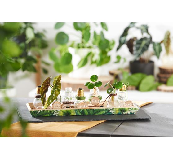 VBS Decoratieve gloeilampen, 12 stuks, schroefbaar