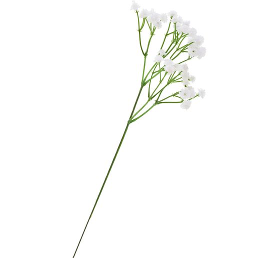 Gypsophila pluk "Gypso