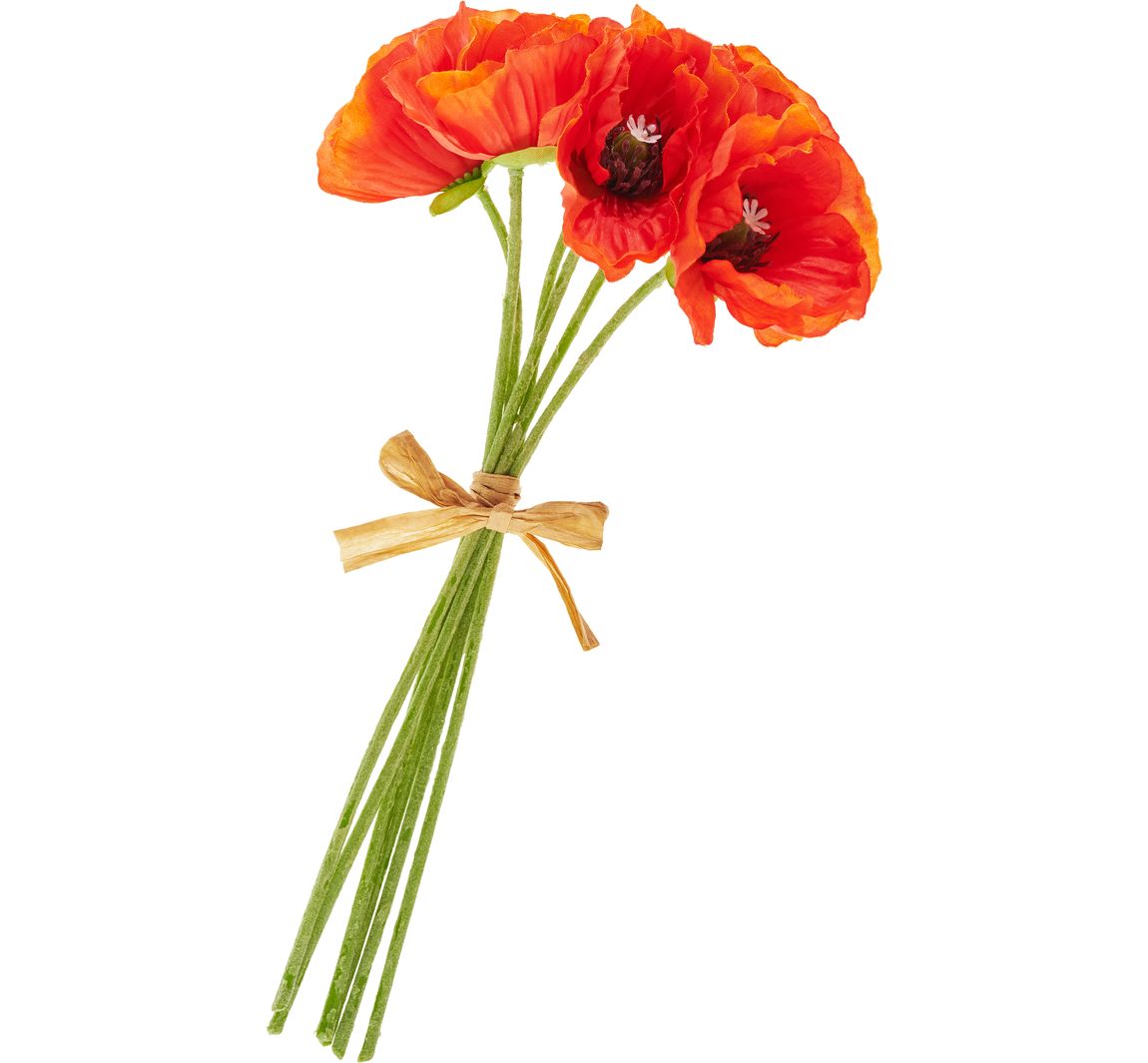 Klaprozenboeket, oranje