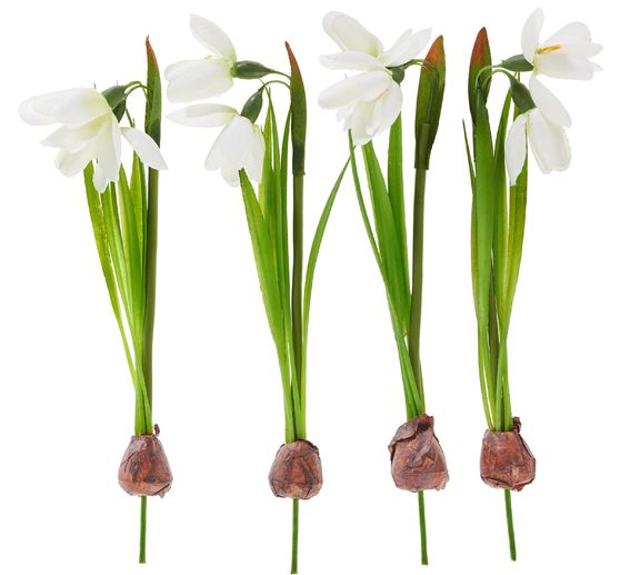 Sneeuwklokjes met bol