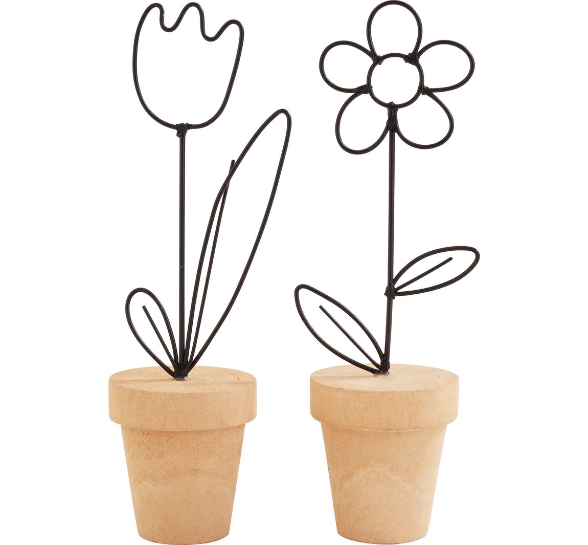 Draadbloem in pot, 2 stuks