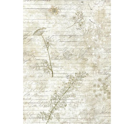 Motif straw silk backgrounds "Herbarium Silvae", set of 8
